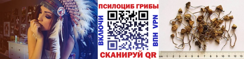 Галлюциногенные грибы мицелий  Афипский 